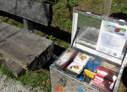 025 - für die musse ist gesorgt